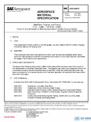 SAE AMS6491C PDF