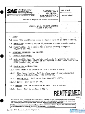 SAE AMS3796/1 PDF