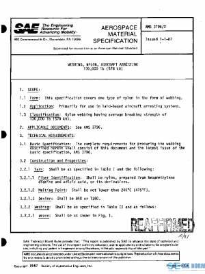 SAE AMS3796/2 PDF