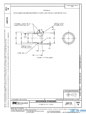 SAE AS5176B PDF