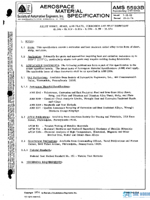 SAE AMS5593B PDF