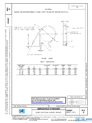 SAE AS5587B PDF