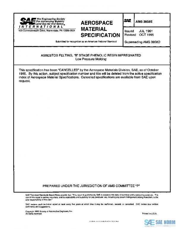 SAE AMS3858E PDF