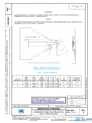 SAE AS81306/1A PDF