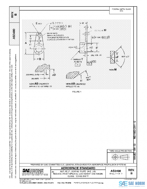 SAE AS3480B PDF
