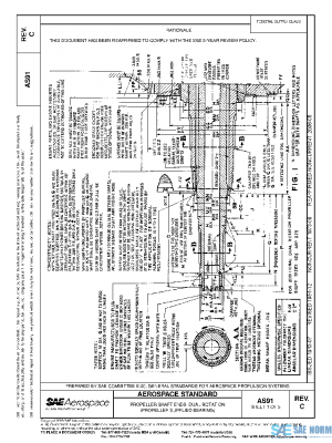 SAE AS91C PDF