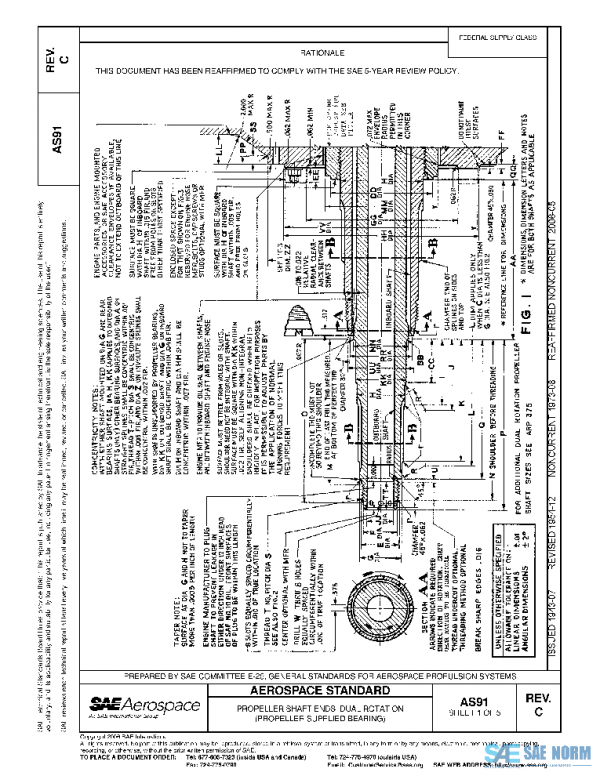 SAE AS91C PDF