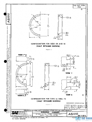 SAE AS1717A PDF