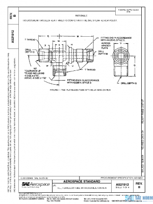 SAE AS21912B PDF