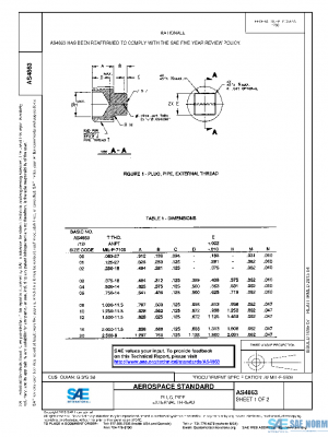 SAE AS4863 PDF