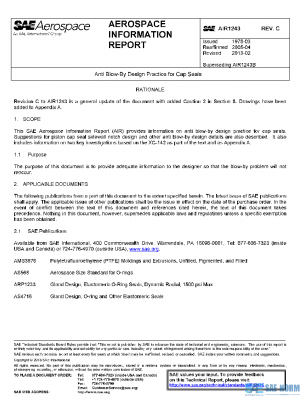 SAE AIR1243C PDF