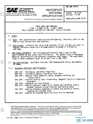 SAE AMS6317E PDF