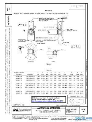 SAE AS3067B PDF