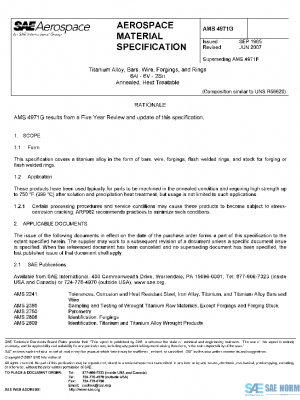 SAE AMS4971G PDF