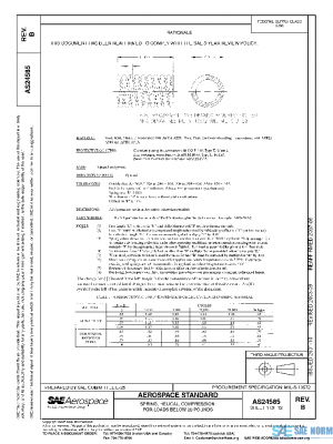 SAE AS24585B PDF