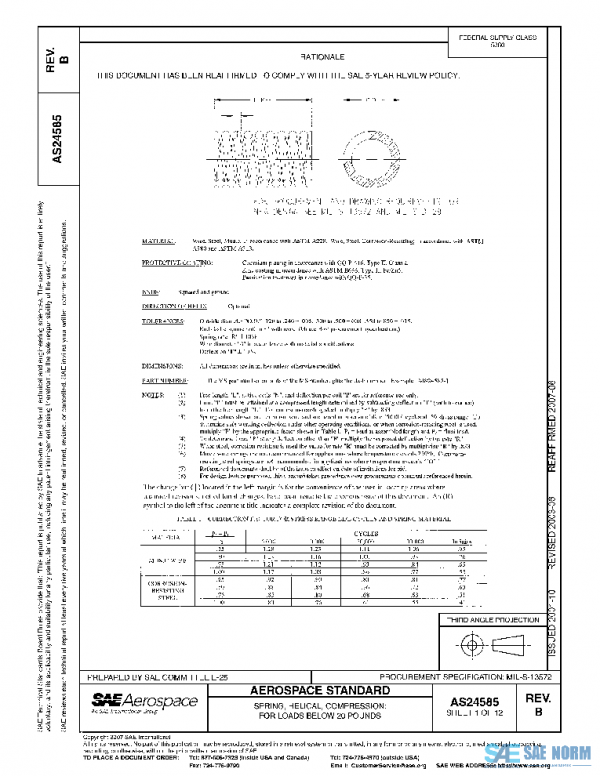 SAE AS24585B PDF SAE AS24585B PDF
