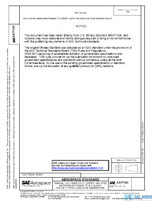 SAE AS17143 PDF
