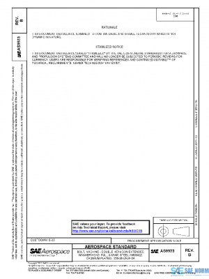 SAE AS9933B PDF