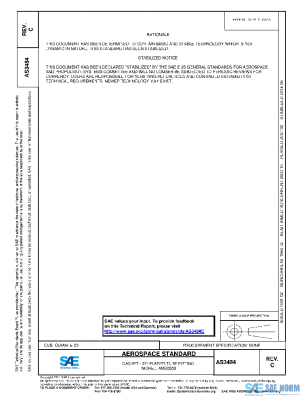 SAE AS3484C PDF