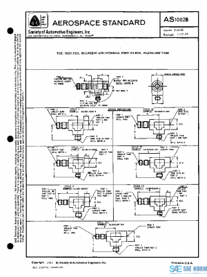 SAE AS1002B PDF