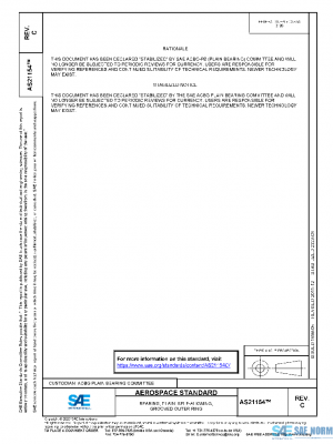 SAE AS21154C PDF