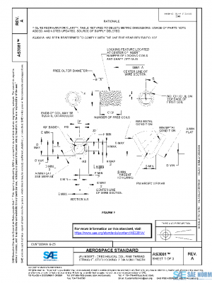 SAE AS3081A PDF