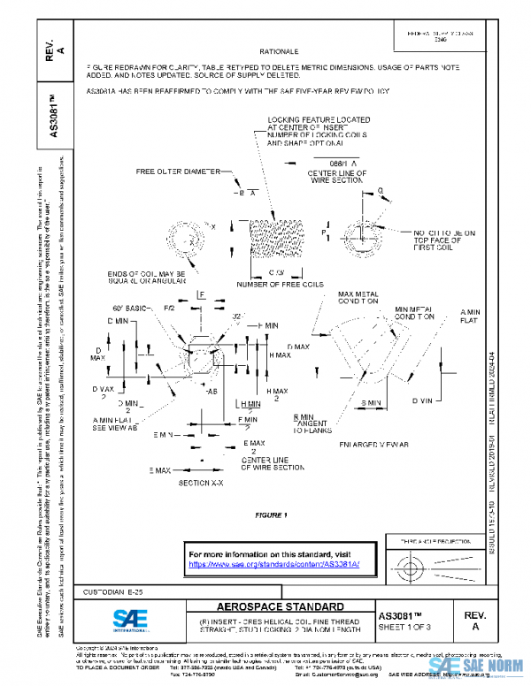 SAE AS3081A PDF