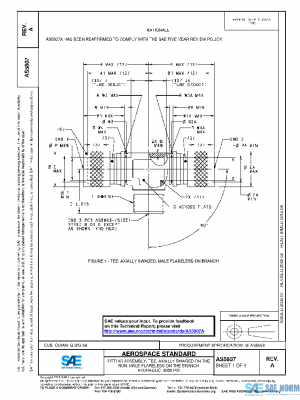 SAE AS5807A PDF