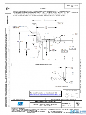 SAE AS1895/17B PDF