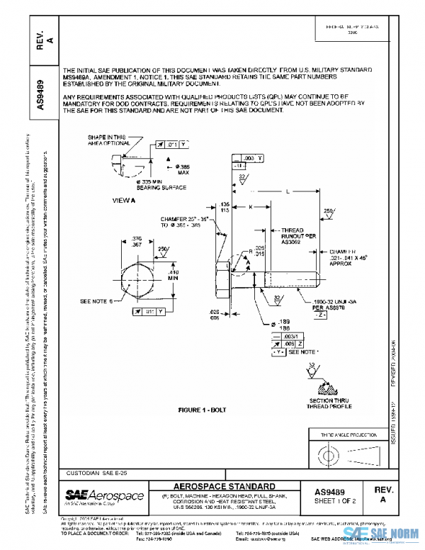 SAE AS9489A PDF