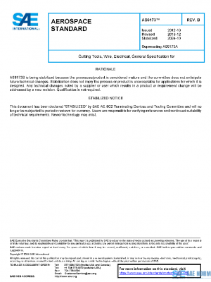 SAE AS6173B PDF