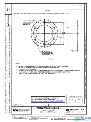 SAE AS100007C PDF