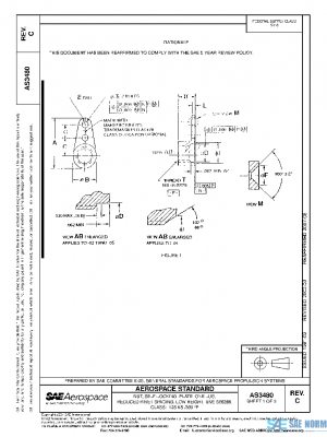 SAE AS3480C PDF