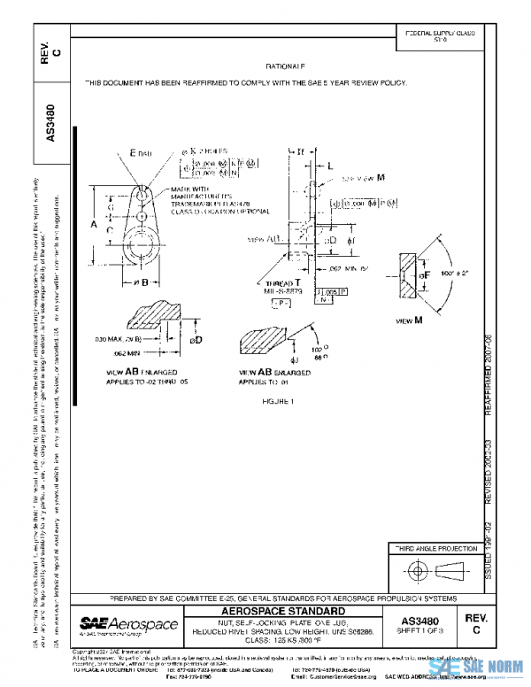 SAE AS3480C PDF