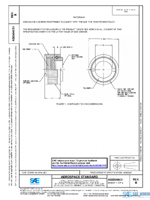 SAE AS85049/31B PDF