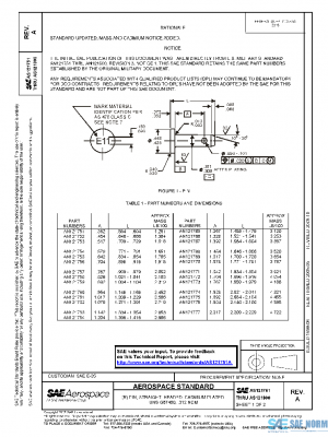 SAE AS121751A PDF