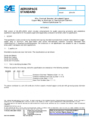 SAE AS29606 PDF