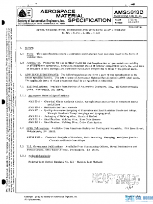 SAE AMS5813B PDF