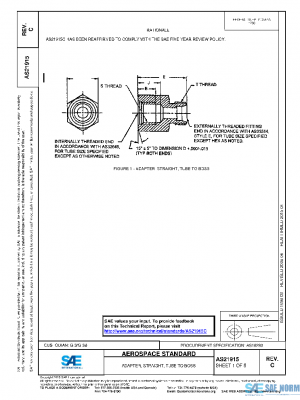 SAE AS21915C PDF