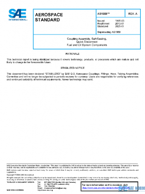 SAE AS1969A PDF
