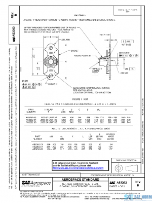 SAE AS3262B PDF