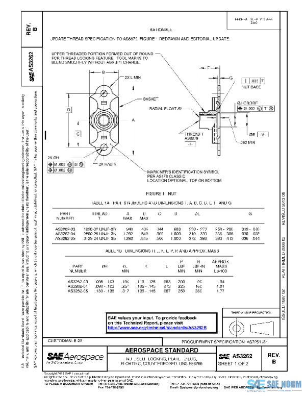 SAE AS3262B PDF