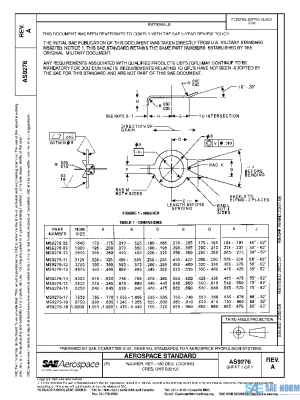 SAE AS9276A PDF