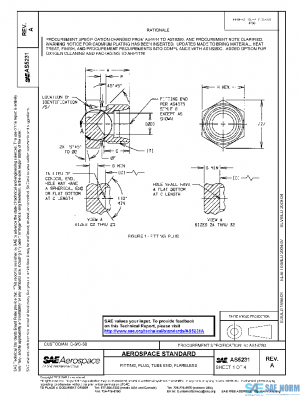 SAE AS5231A PDF