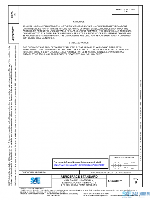SAE AS24208B PDF