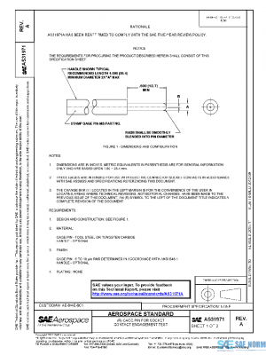 SAE AS31971A PDF