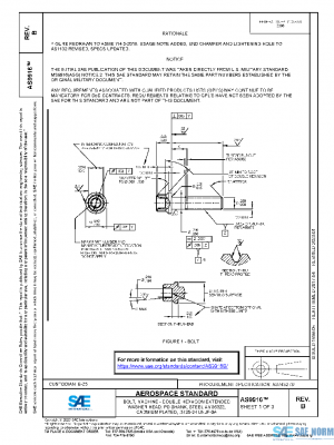 SAE AS9916B PDF