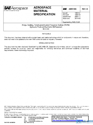 SAE AMS7256B PDF