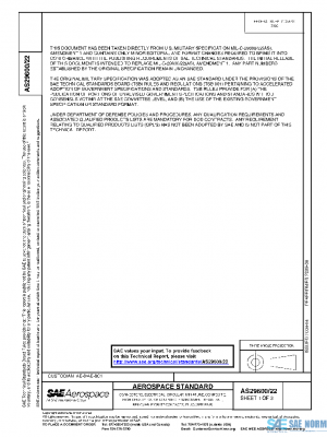 SAE AS29600/22 PDF