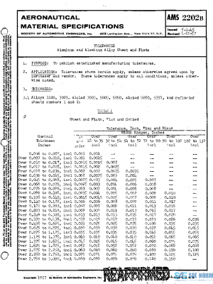 SAE AMS2202B PDF